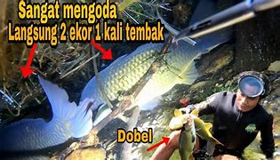 Tembak Ikan Sungai